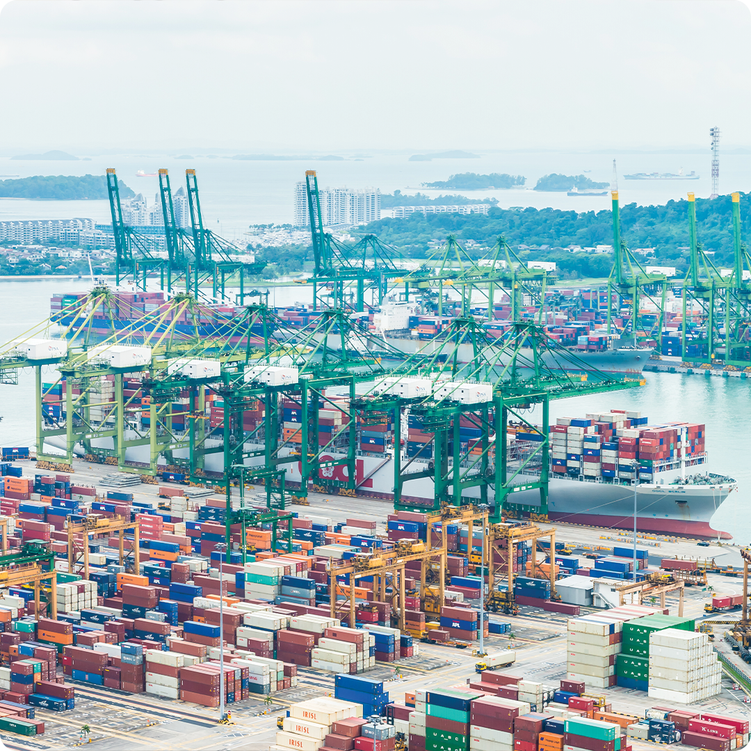 Ports & Terminals